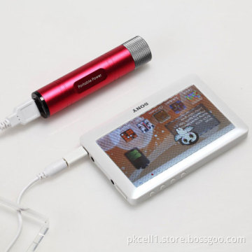 Portable Power Bank for Mobile Phone, MP3, MP4, Digital Camera, iPad and iPhone (PK-9301)